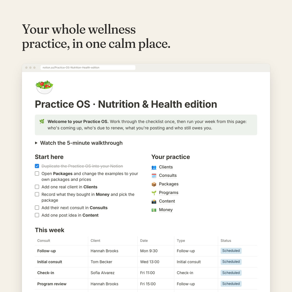 Practice OS Nutrition and Health edition dashboard with clients, consults and programs